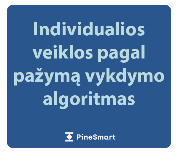 Individualios veiklos pagal pažymą vykdymo algoritmas